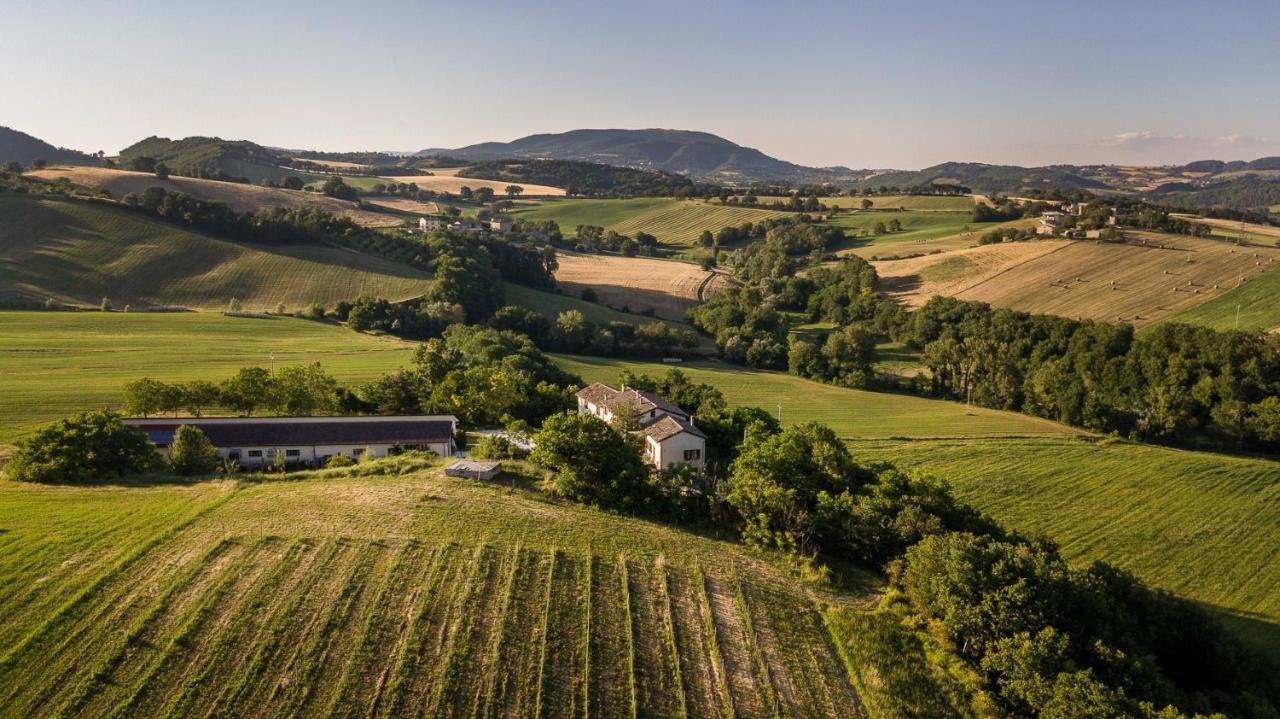 Agriturismo Podere Coldifico Sassoferrato Exteriör bild