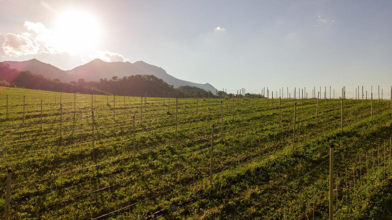 Agriturismo Podere Coldifico Sassoferrato Exteriör bild